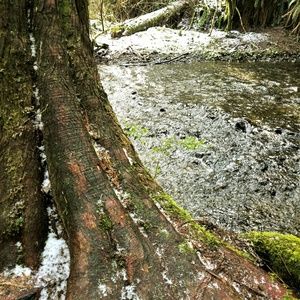 Meet your Posher, Choy